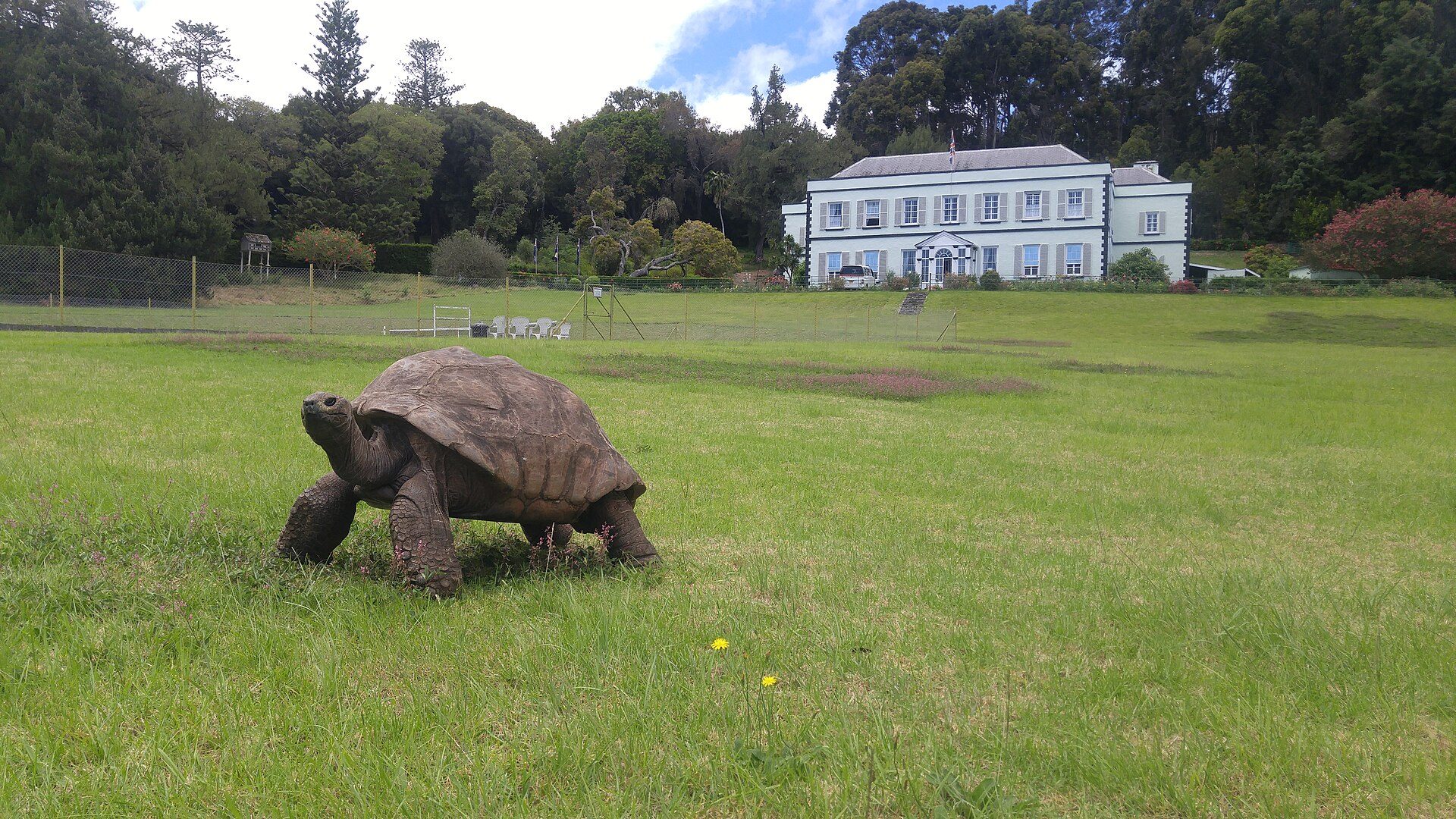 Jonathan walking on the lawn of Plantation House